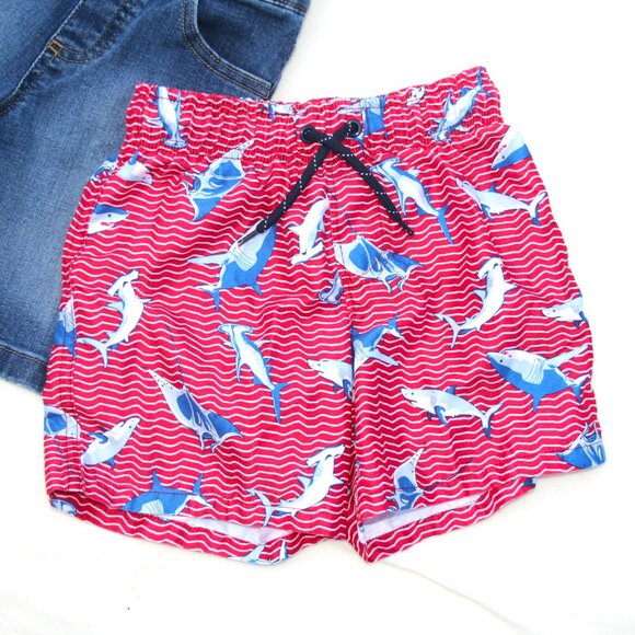 BOYS Sz 5 SWIMMING TRUNKS & DENIM SHORTS LOT of 2 KIDS SUMMER SET PLAY - Picture 2 of 4